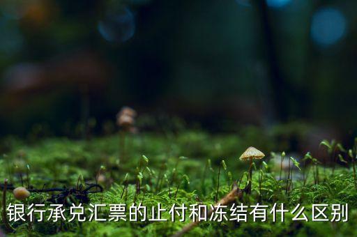 凍結止付什么意思，銀行承兌匯票的止付和凍結有什么區(qū)別