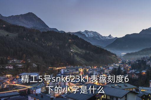 精工表中小表什么，精工手表4個小表盤是干甚么的