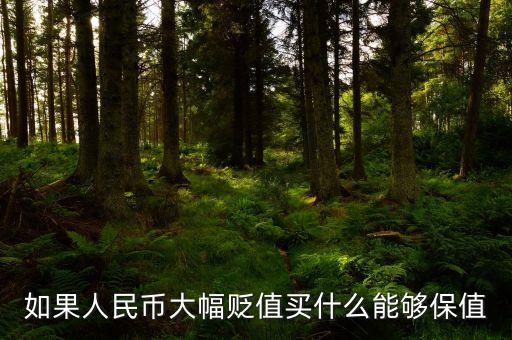 錢貶值買什么，人民幣貶值買什么好