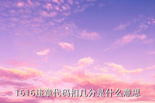 1616元是什么意思，1616違章代碼扣幾分是什么意思