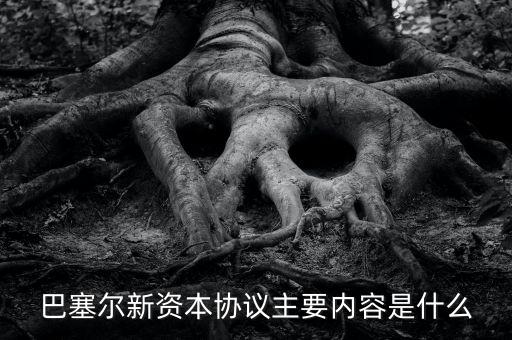新資本協(xié)議是什么，新巴塞爾資本協(xié)議的介紹