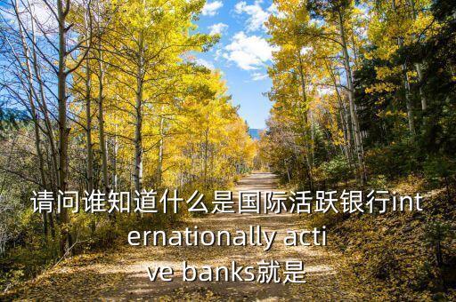 請(qǐng)問誰(shuí)知道什么是國(guó)際活躍銀行internationally active banks就是