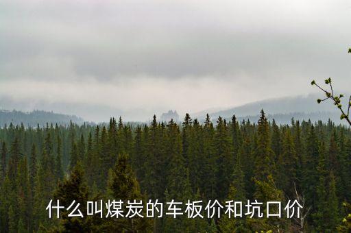 什么叫煤炭坑口價(jià)，煤炭坑口價(jià)格是什么意思呀有知道的好心人請(qǐng)給予答復(fù)