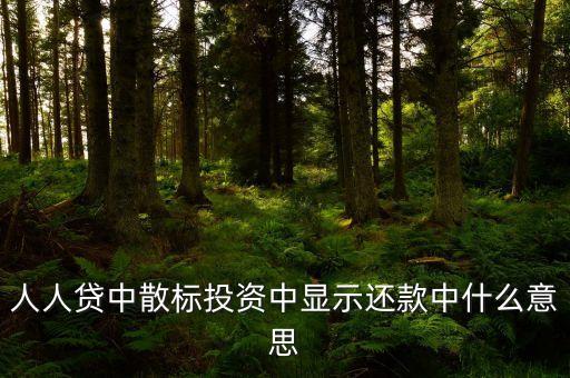 散標(biāo)是什么意思，散標(biāo)是什么
