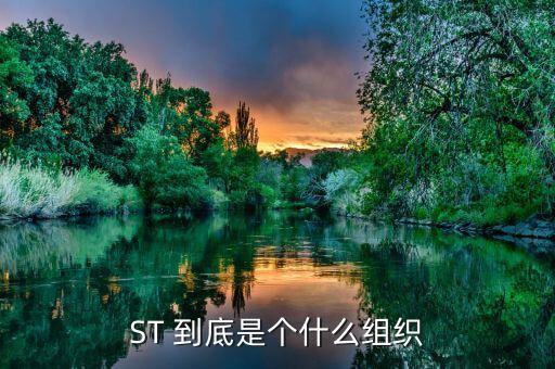 ST 到底是個(gè)什么組織