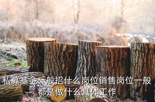 私募公司的市場(chǎng)部做什么，投資公司的市場(chǎng)部職員主要做什么