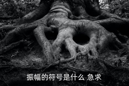 什么振幅，振幅的符號(hào)是什么 急求