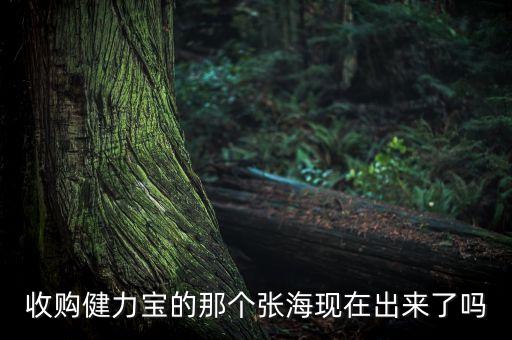 收購健力寶的那個張?，F(xiàn)在出來了嗎