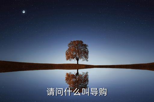 電商導(dǎo)購是什么，什么是導(dǎo)購