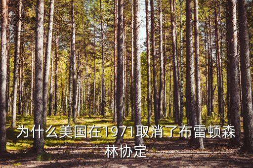什么取代了布雷頓森林體系，布雷頓森林體系的產(chǎn)生說明了