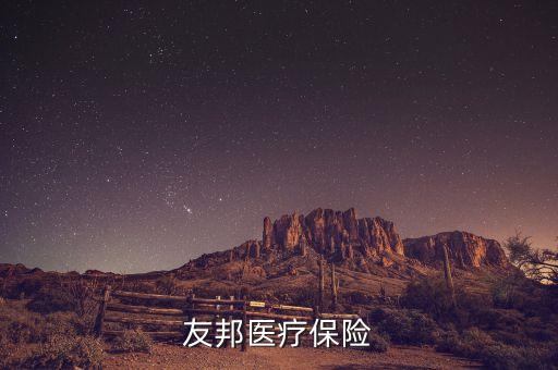 花旗代理友邦什么保險(xiǎn)，花旗和友邦合作的意外保險(xiǎn)怎么樣