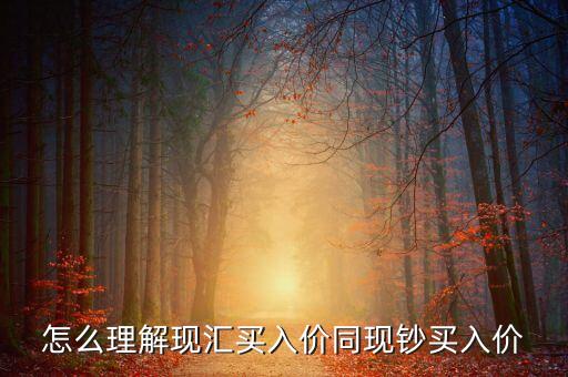 為什么現(xiàn)匯買入價比現(xiàn)鈔買入價高，為什么即期外匯牌價中現(xiàn)匯買入價和現(xiàn)鈔買入價不一樣為什么現(xiàn)匯