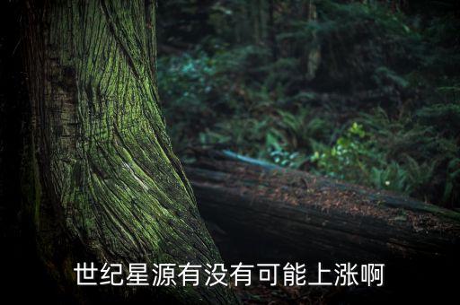 世紀(jì)星源股為什么不會漲，世紀(jì)星源有沒有可能上漲啊