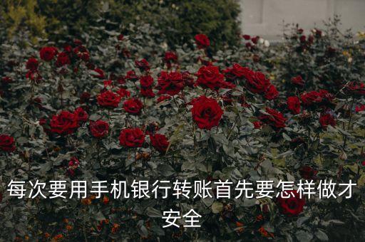手機(jī)銀行轉(zhuǎn)賬有什么可以保護(hù)安全，手機(jī)開了手機(jī)銀行怎么保護(hù)