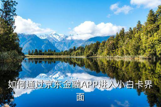 登陸京東金融后進(jìn)入什么頁面，京東金融app借錢界面在哪里啊