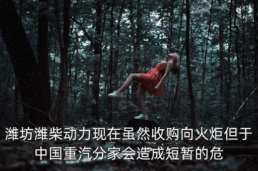 重汽為什么沒有濰柴了，中國重汽還有濰柴發(fā)動機(jī)嗎