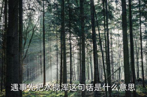 攪渾水什么意思，遇事先把水?dāng)嚋嗊@句話是什么意思