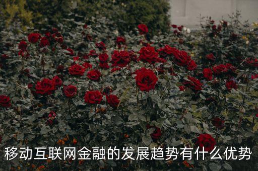 移動金融技術(shù)創(chuàng)新應(yīng)以什么為底線，移動互聯(lián)網(wǎng)金融的發(fā)展趨勢有什么優(yōu)勢