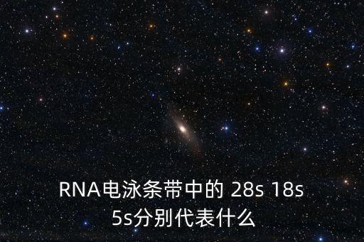 中能國(guó)研是什么，在HTML中content是什么意思