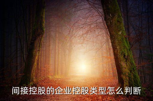 間接持股是什么意思，間接是什么意思