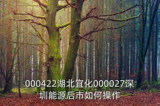 000027之前名什么，000422湖北宜化000027深圳能源后市如何操作