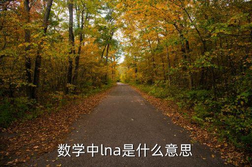 數學中l(wèi)na是什么意思