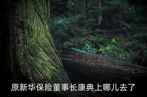 原新華保險(xiǎn)董事長康典上哪兒去了