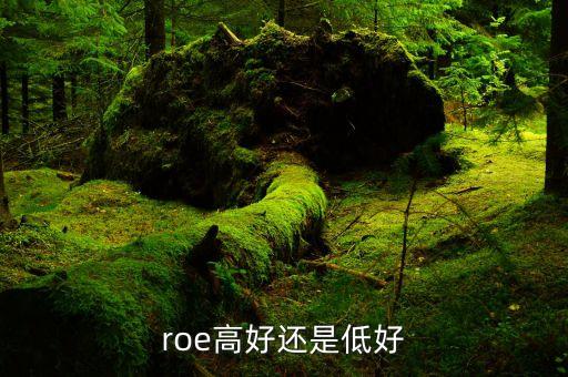 roe低說明什么，凈資產(chǎn)收益率反應(yīng)了些什么
