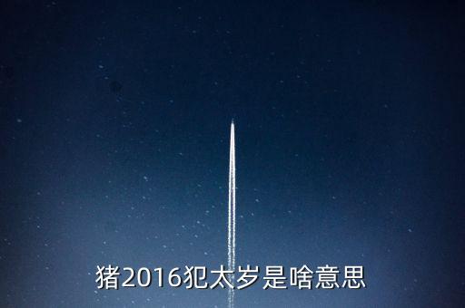 2016年犯什么星辰表，1974年的人在2016年犯太陽星嗎