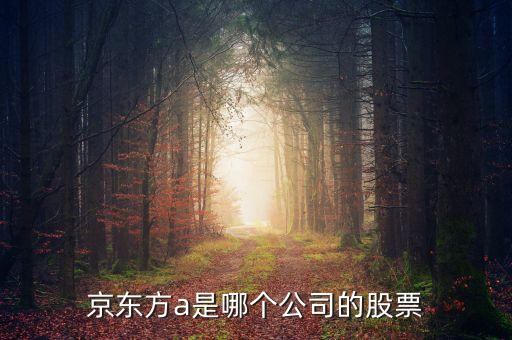 京東方a是什么企業(yè)，京東方A董事長是誰是什么企業(yè)