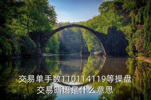 119是什么盤(pán)口暗號(hào)，交易單手?jǐn)?shù)110114119等操盤(pán)交易暗語(yǔ)是什么意思