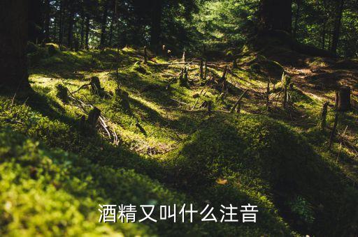 酒經(jīng)酒驚又名什么，酒精又叫什么注音