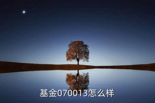 070013基金是什么基金，基金070013前面加of什么意思