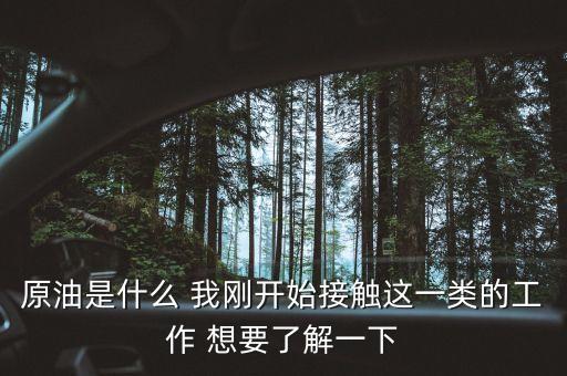 原油是什么工作，原油是什么 我剛開始接觸這一類的工作 想要了解一下