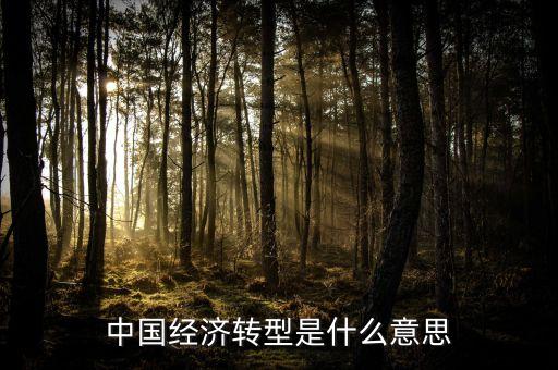 中國經(jīng)濟(jì)轉(zhuǎn)型是什么意思
