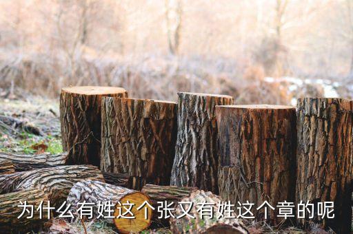 中石油黃炎什么級別，大家知道有誰姓耜