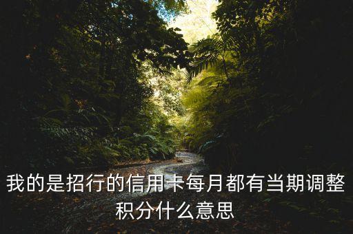 我的是招行的信用卡每月都有當期調整積分什么意思