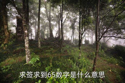 求簽求到65數字是什么意思