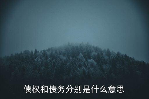 bsp票款債權(quán)是什么，銀行理財業(yè)務(wù)里面的liborbsp是什么意思