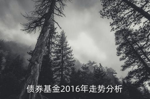 2016年的債券的投資的方向是什么，債券基金2016年走勢(shì)分析