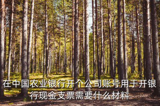 在中國(guó)農(nóng)業(yè)銀行開(kāi)個(gè)公司賬號(hào)用于開(kāi)銀行現(xiàn)金支票需要什么材料