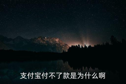 手機支付寶為什么不能付款，支付寶付不了款是為什么啊