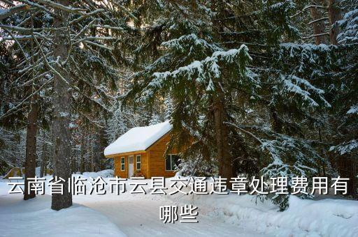 臨滄市車補(bǔ)正策是什么，臨滄市12315消費(fèi)者協(xié)會如果汽車修理費(fèi)過高可以投訴嗎