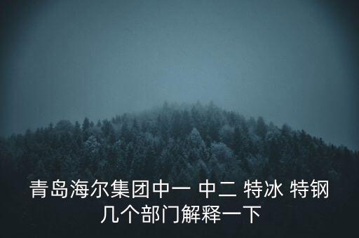 海爾內(nèi)銷是什么意思，有帶鎖的冰箱么冷藏冷凍功能都要有的謝謝