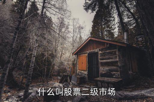 在二級(jí)市場(chǎng)買的股票有什么，二級(jí)市場(chǎng)上交易的股票