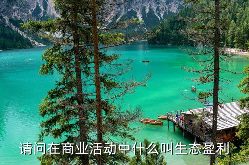 請(qǐng)問在商業(yè)活動(dòng)中什么叫生態(tài)盈利