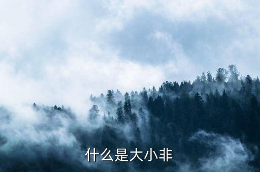 大小非指的是什么意思，什么是大小非