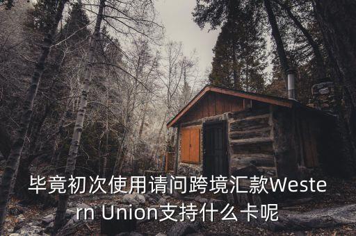 什么是西聯(lián)，畢竟初次使用請(qǐng)問(wèn)跨境匯款Western Union支持什么卡呢