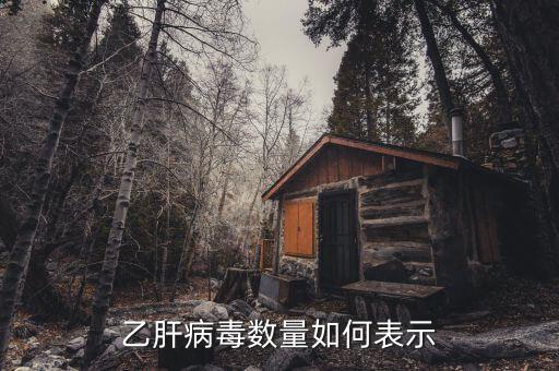 乙肝病毒20萬代表什么意思，乙肝DNA定量結(jié)果是100000是甚么意思