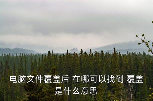 首次覆蓋是什么意思，首次覆蓋給予買入評級 什么意思